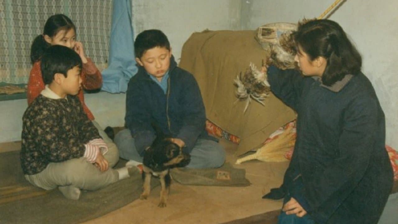 年轮の背景画像