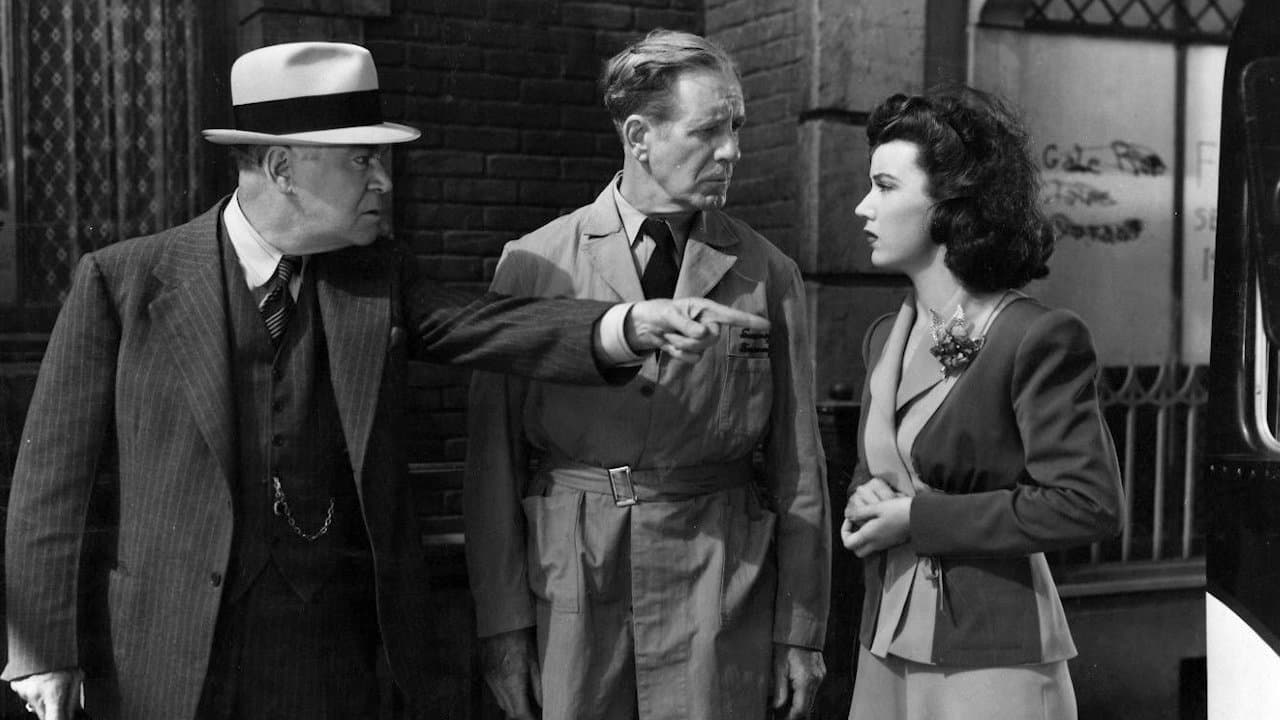 Wildcat Busの背景画像