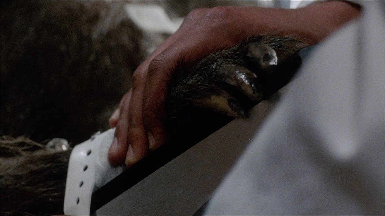 Baboon Bite Maniacs! - "Primal Rage" 35 Years Laterの背景画像