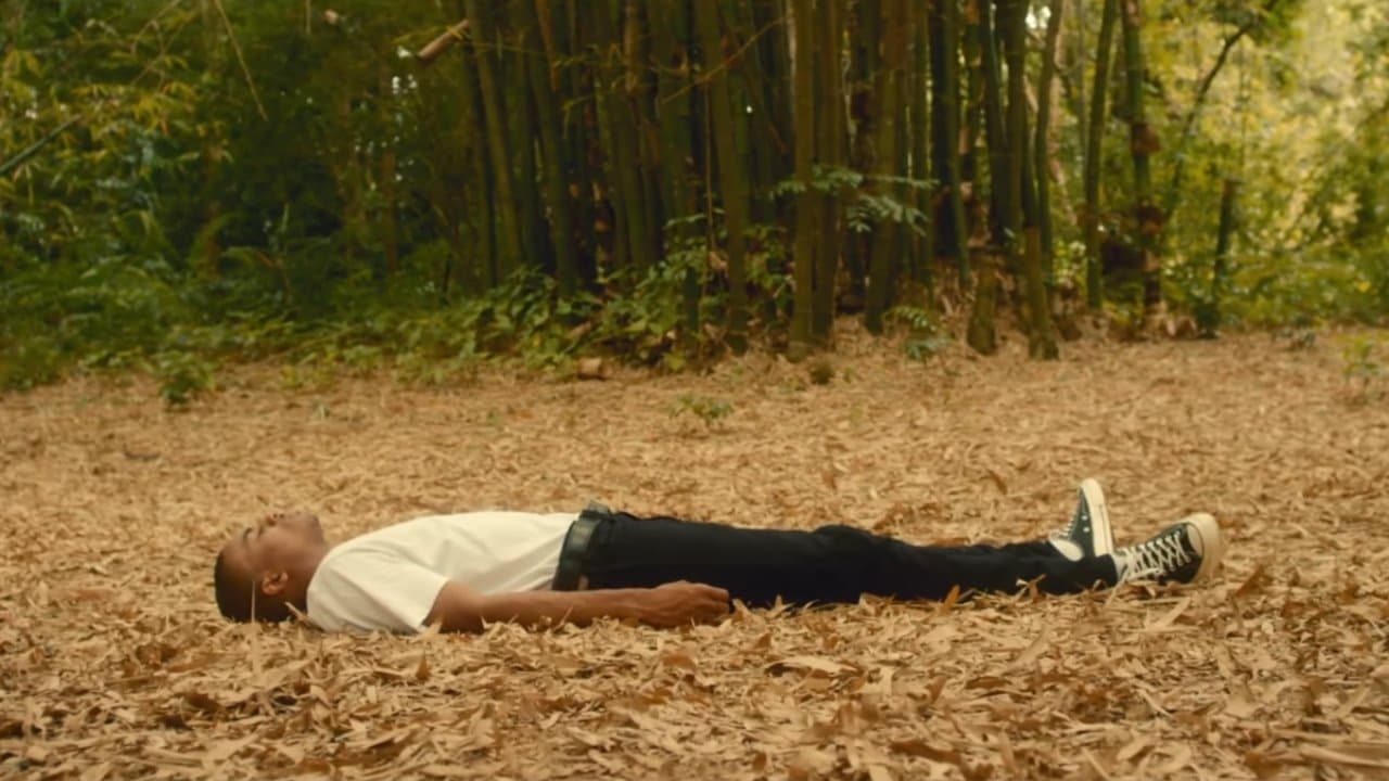 Prima Donnaの背景画像