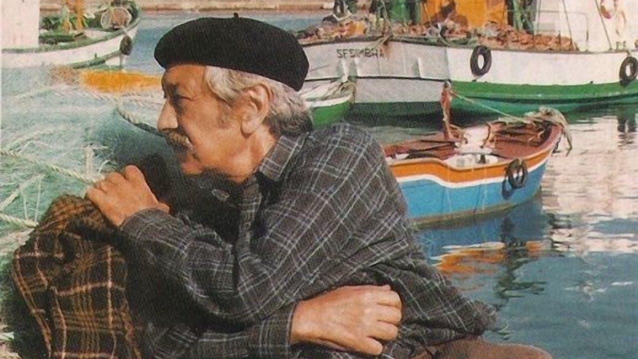 Vidas de Salの背景画像