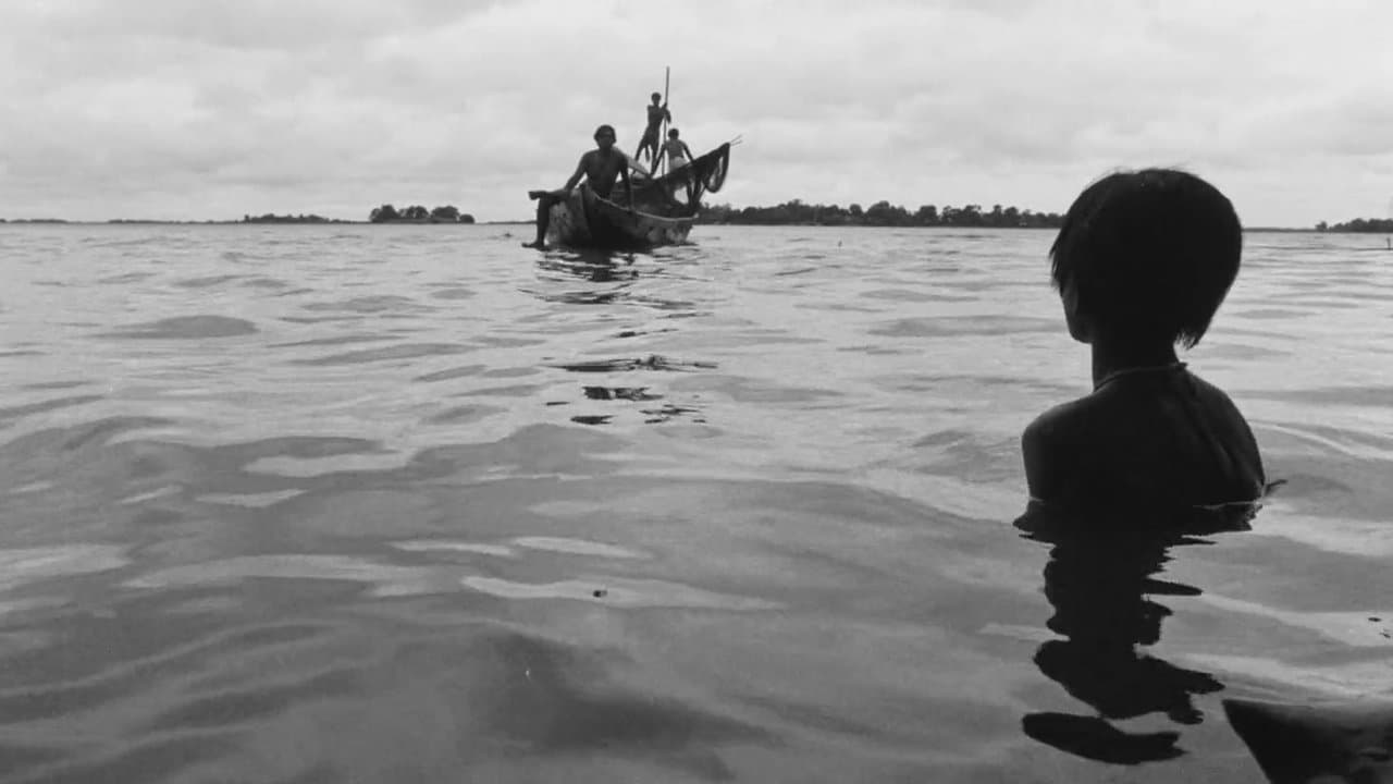 তিতাস একটি নদীর নামの背景画像