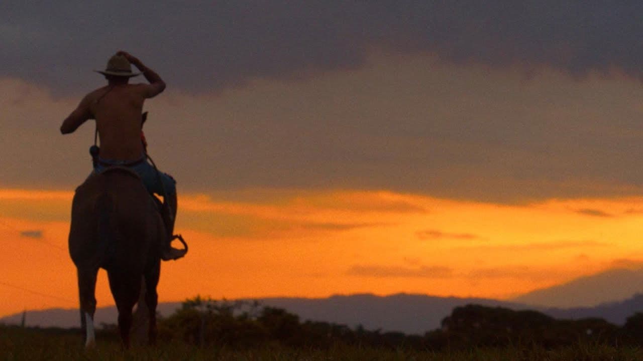 Semillasの背景画像