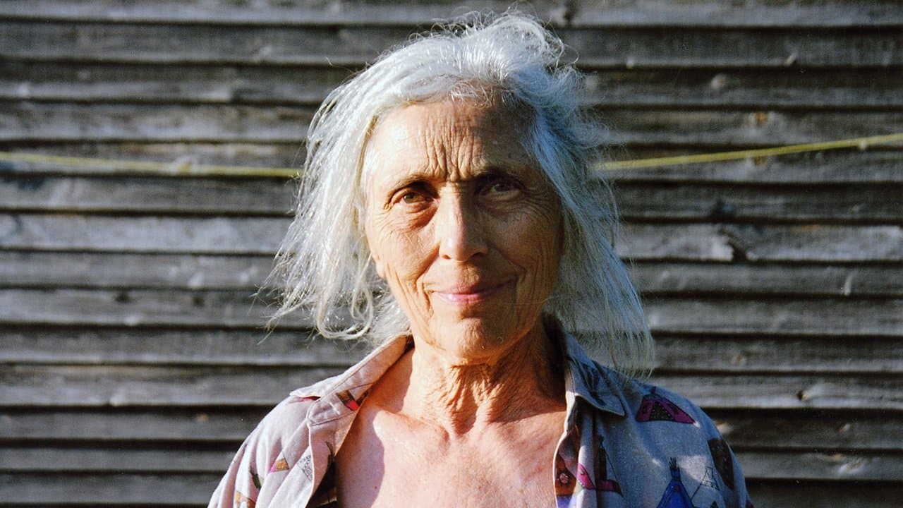 Leaving Home, Coming Home: A Portrait of Robert Frankの背景画像