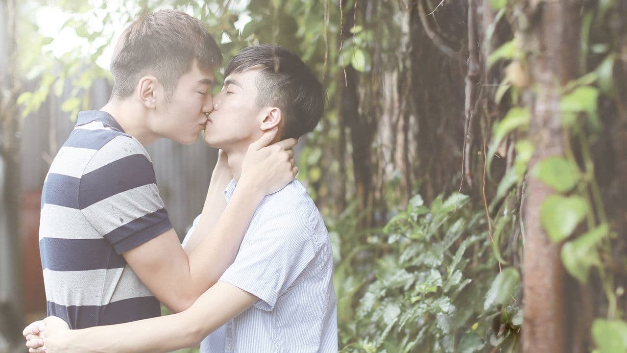 淡淡の背景画像