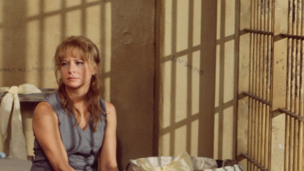 Women in Chainsの背景画像