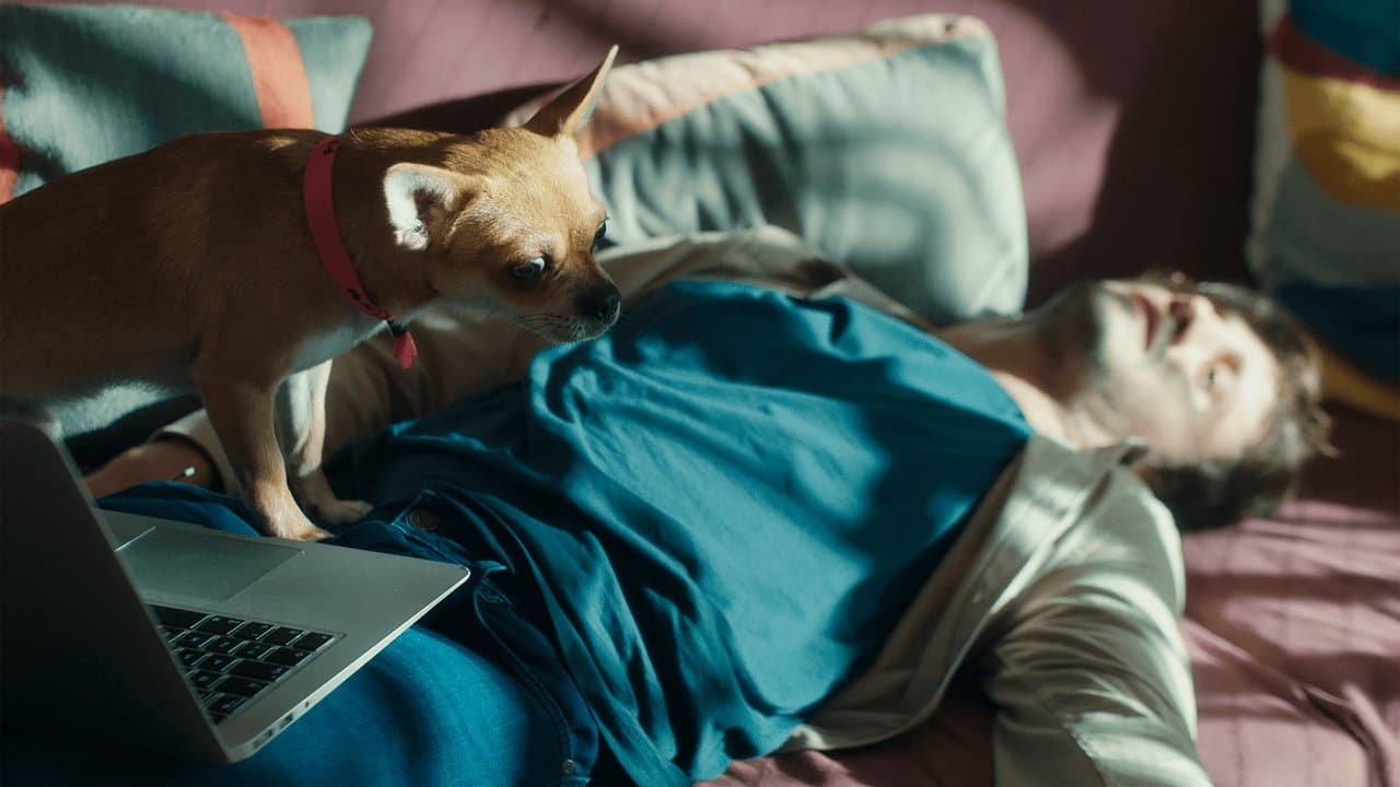 Hayaller, Umutlar ve Dönen Yunuslarの背景画像