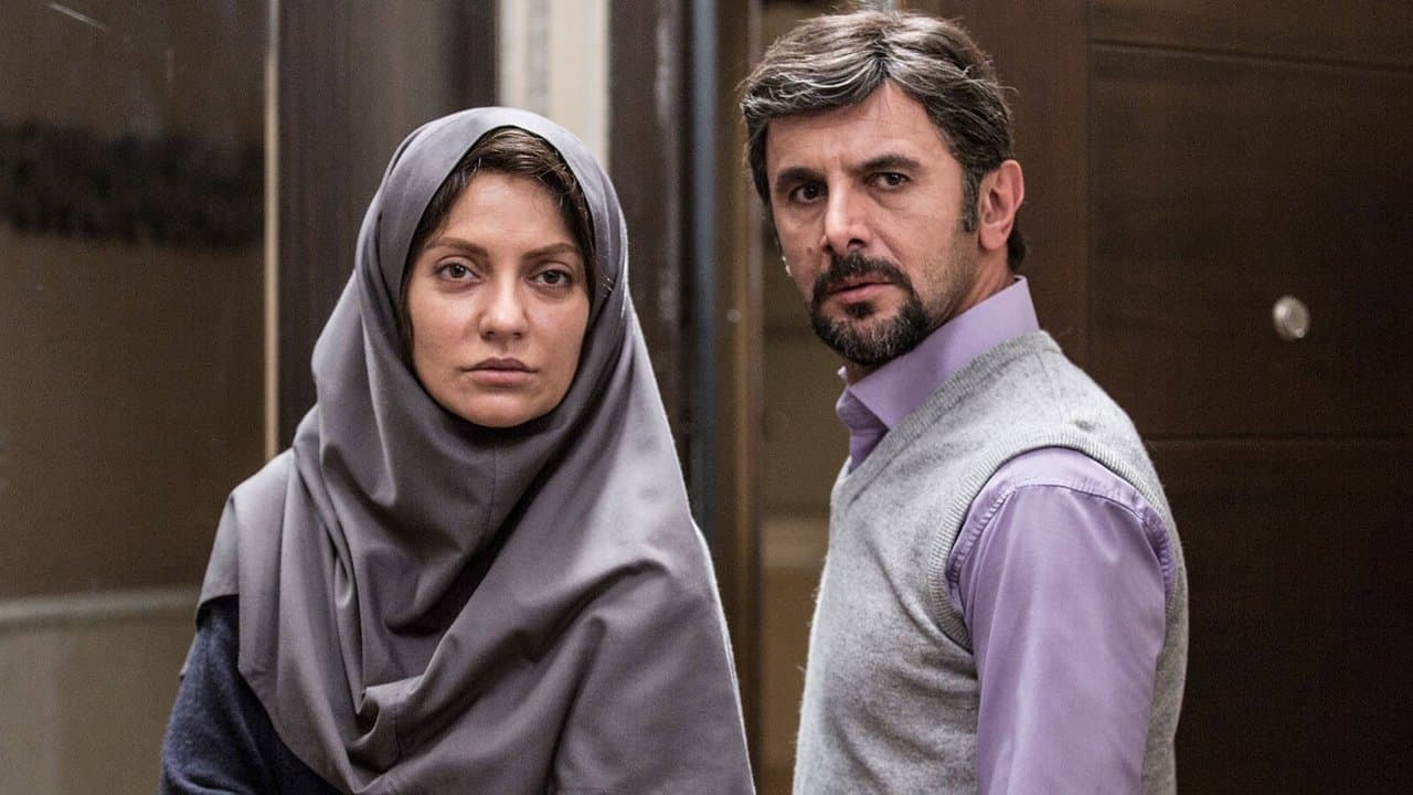 دارکوبの背景画像