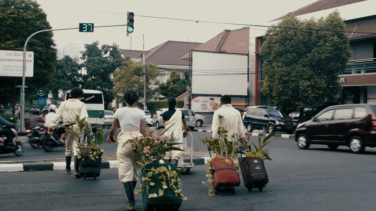 Flutter Echoes and Notes Concerning Natureの背景画像