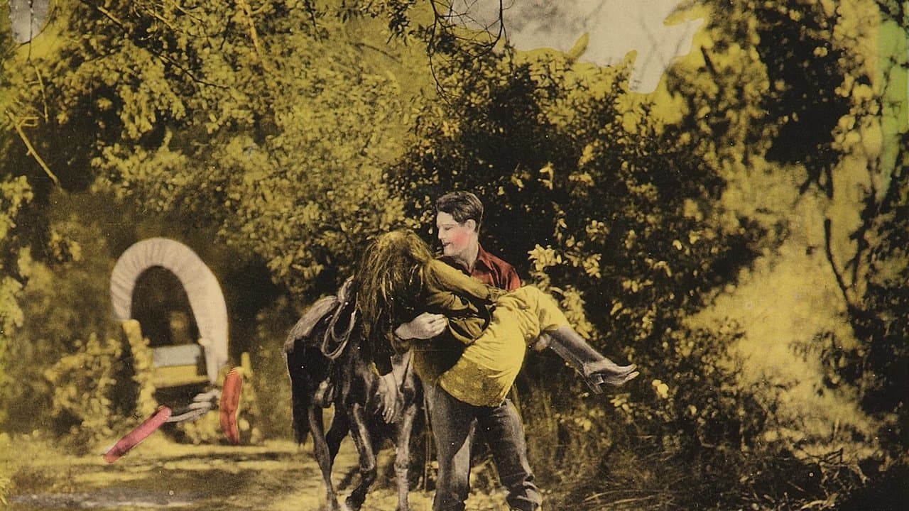 The Scrappin' Kidの背景画像