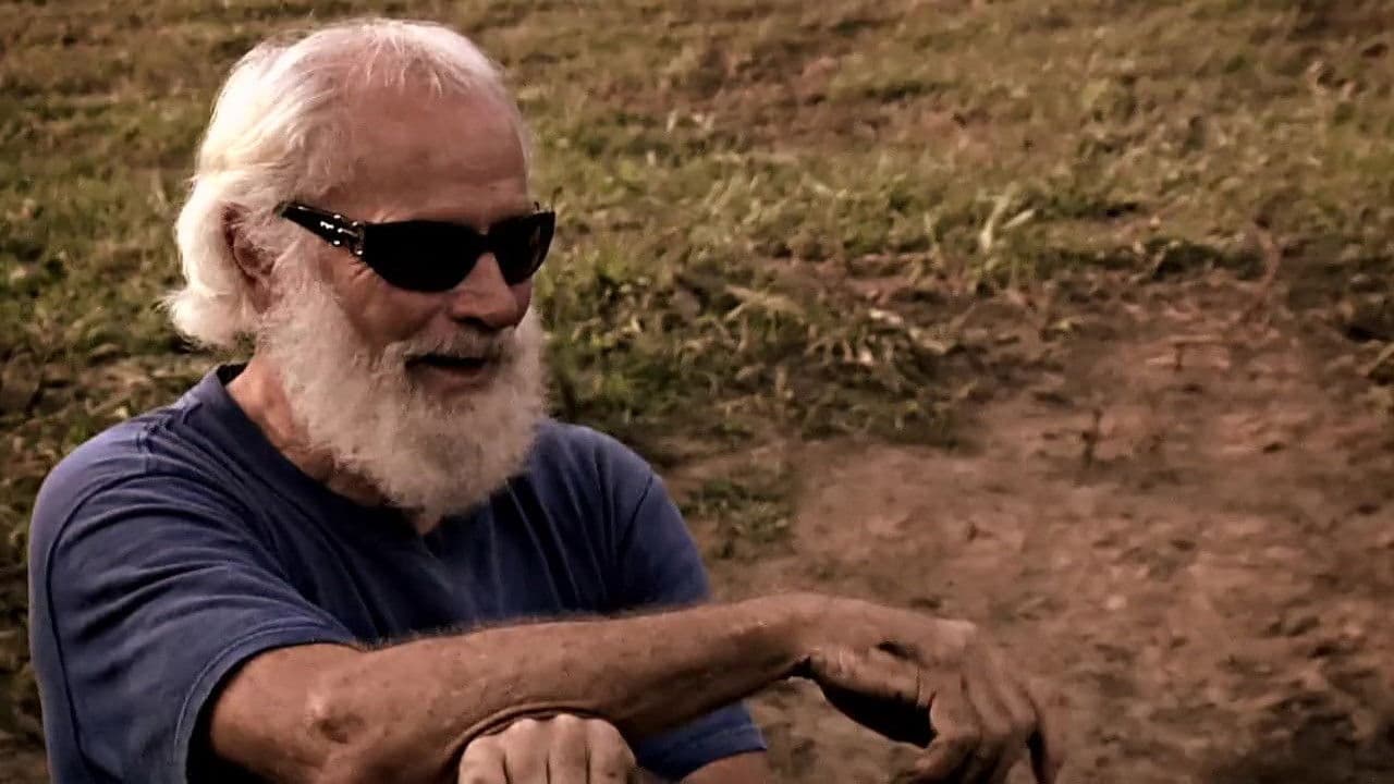 Time Collectorsの背景画像