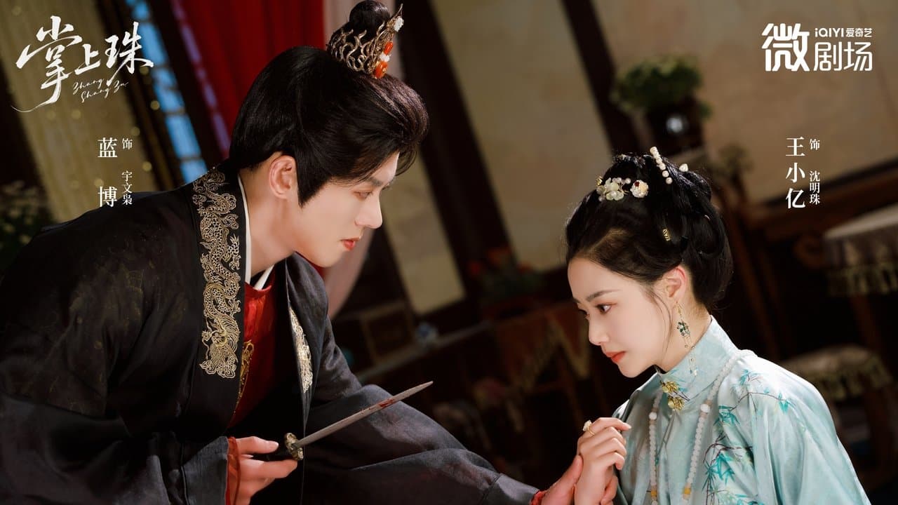 掌上珠の背景画像