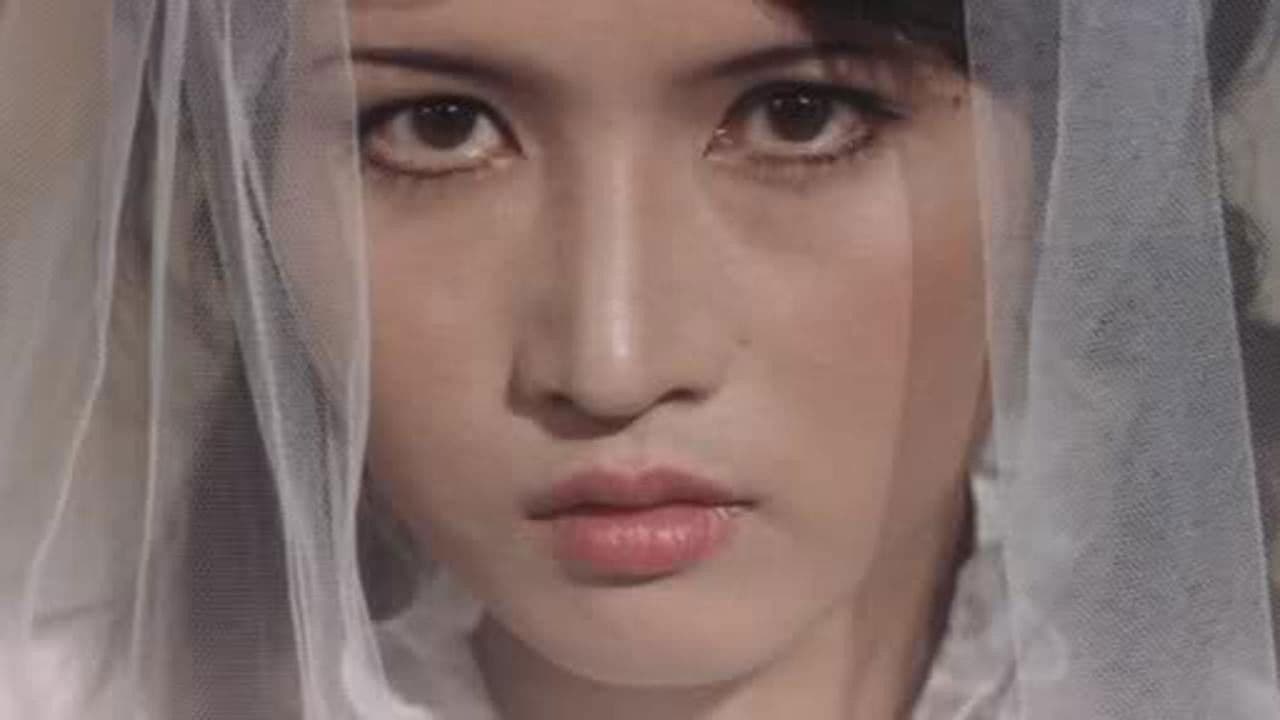 真夜中の妖精の背景画像