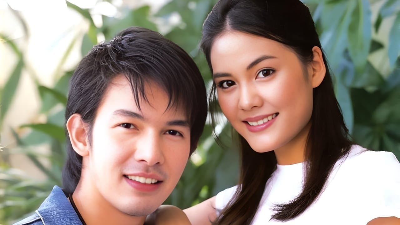 เลดี้เยาวราชの背景画像