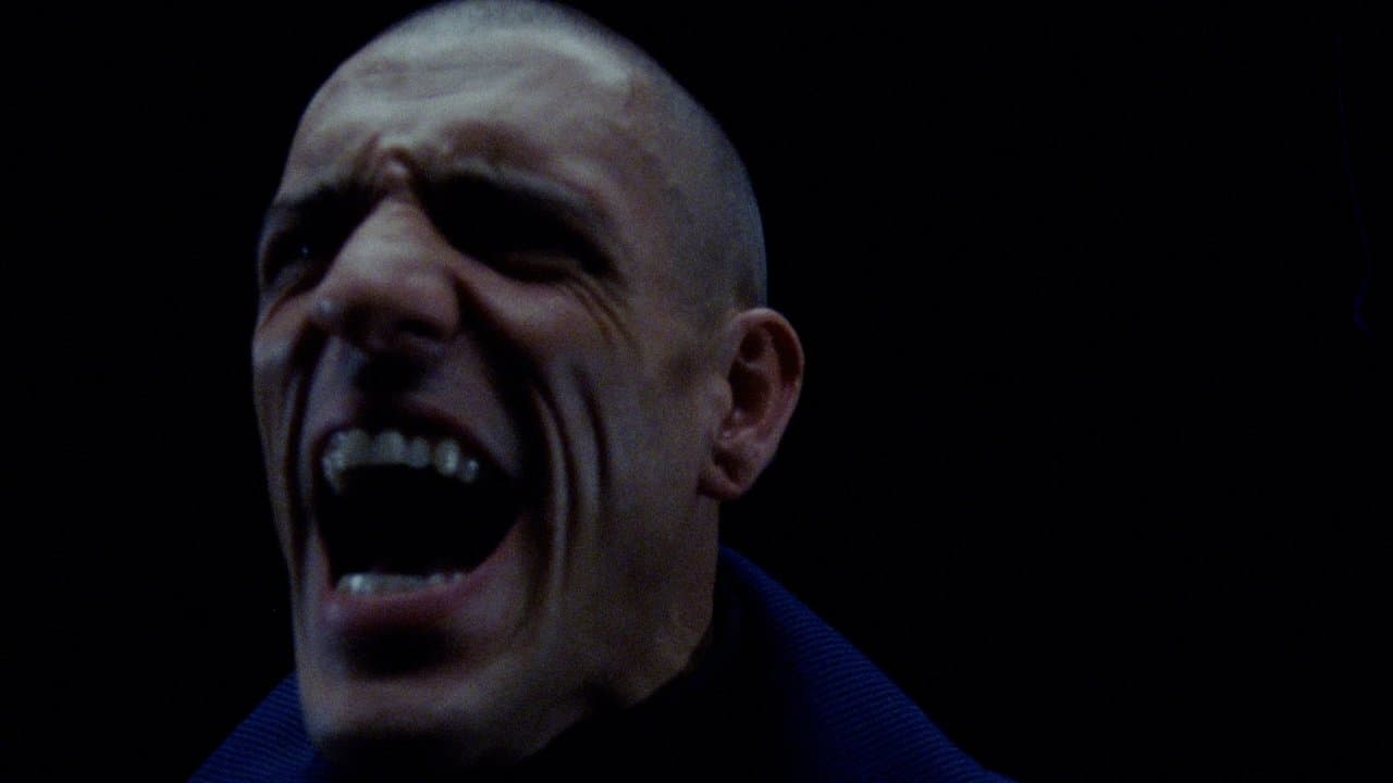 They Send Wordの背景画像