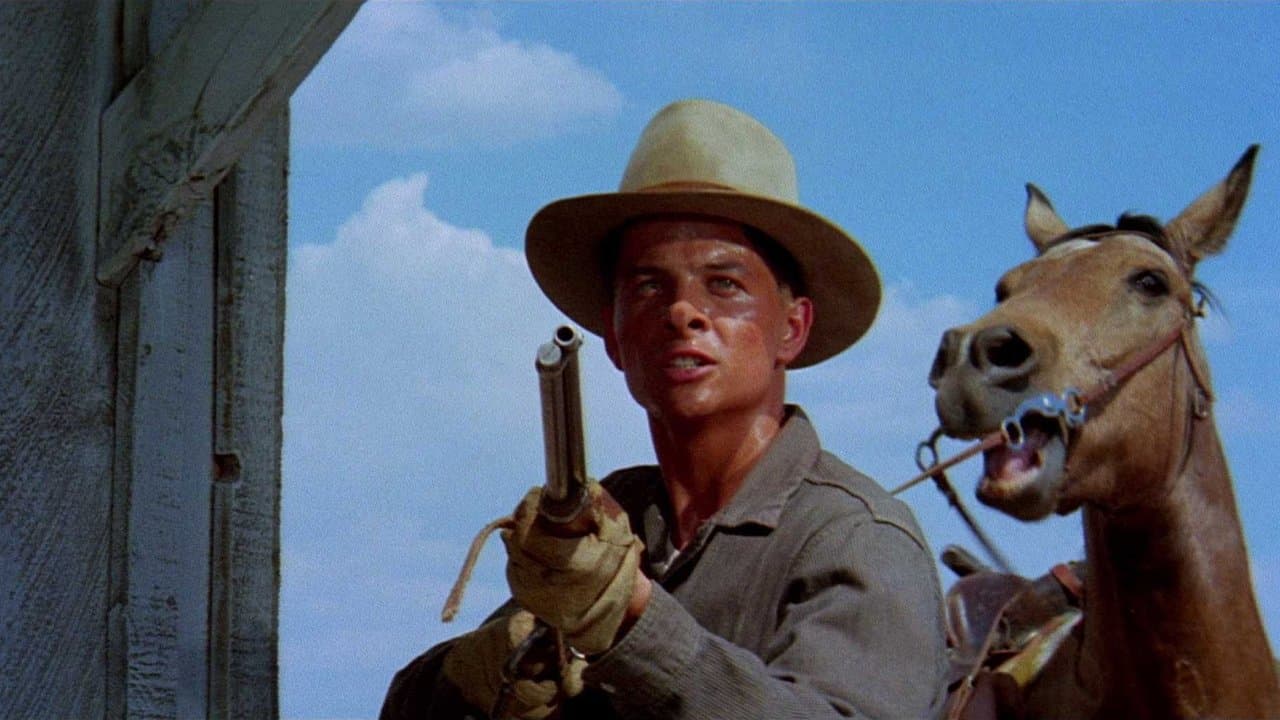 A Time for Dyingの背景画像