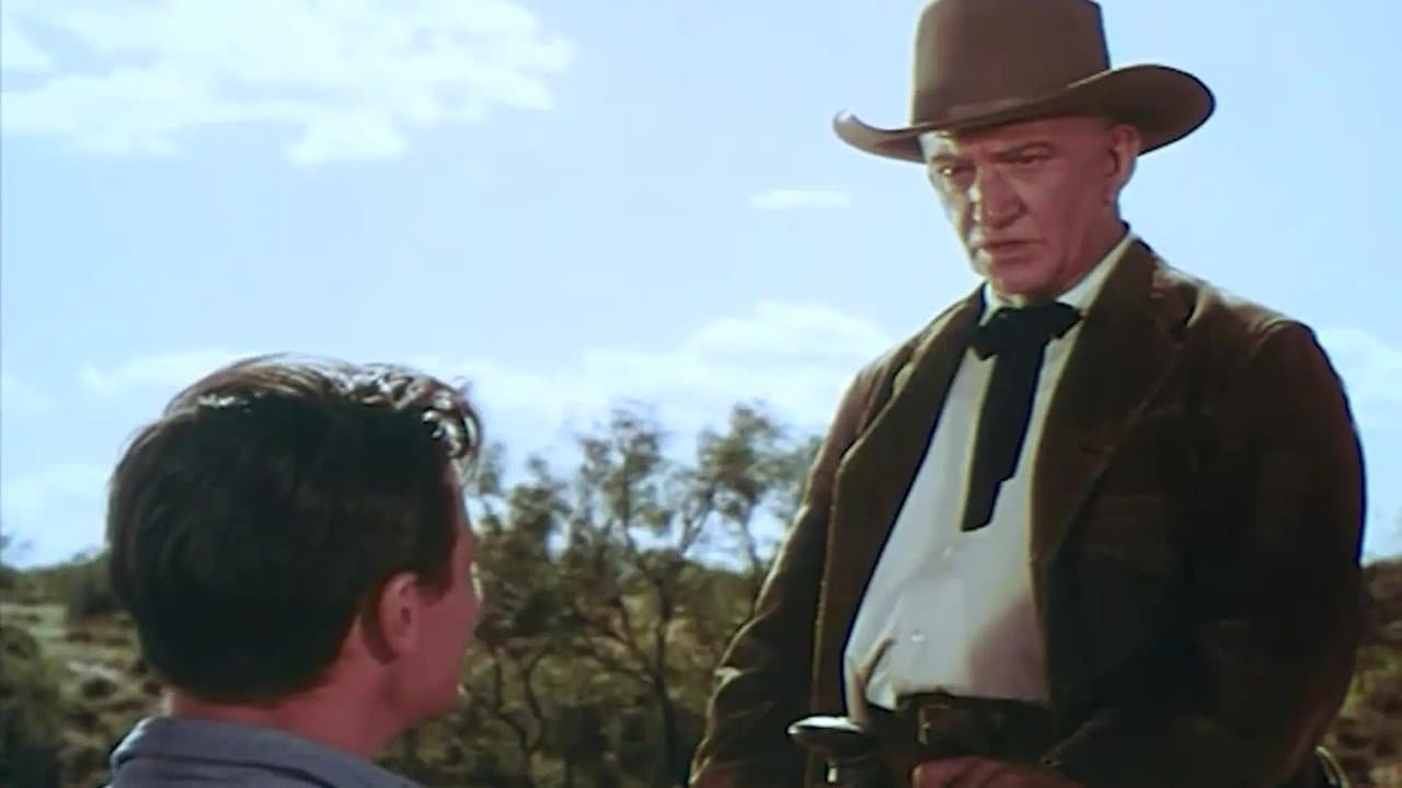 The Sundownersの背景画像