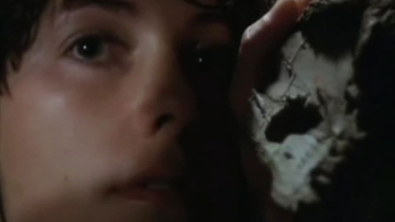 A Força dos Sentidosの背景画像