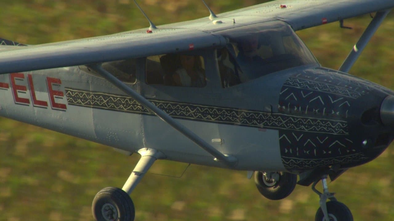 Big Cat Odysseyの背景画像