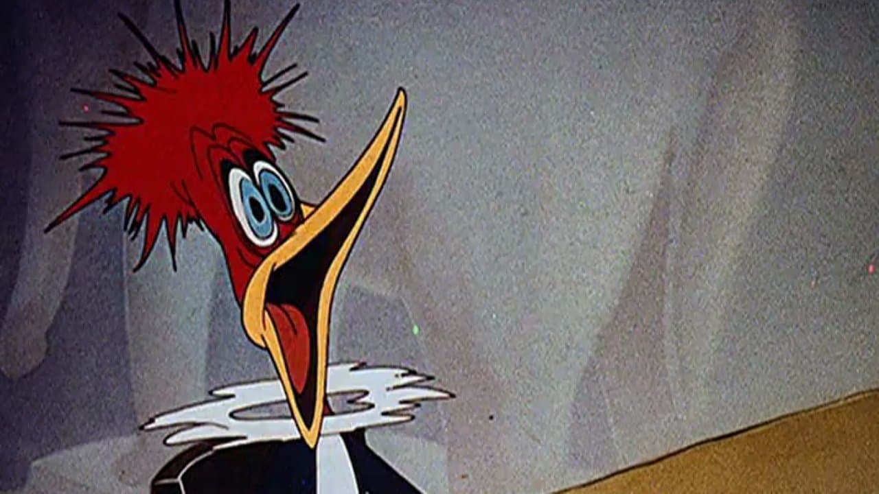 Woody Dines Outの背景画像