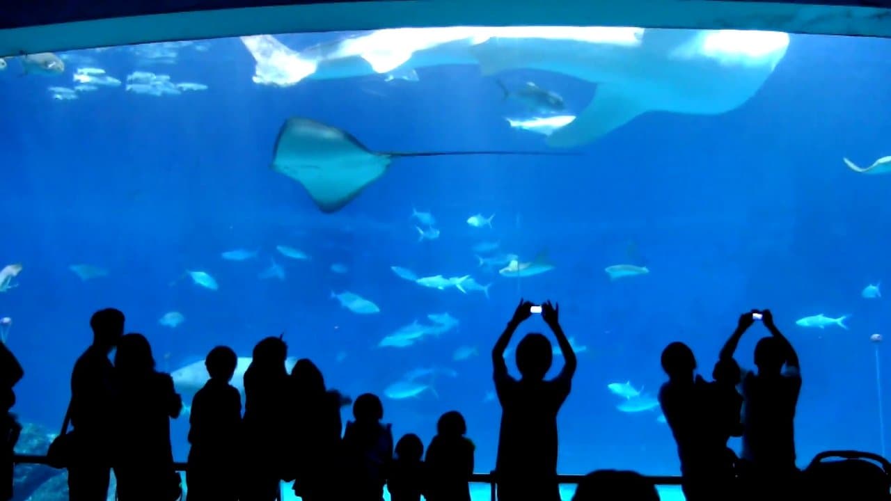 Mit mívelt Istenの背景画像