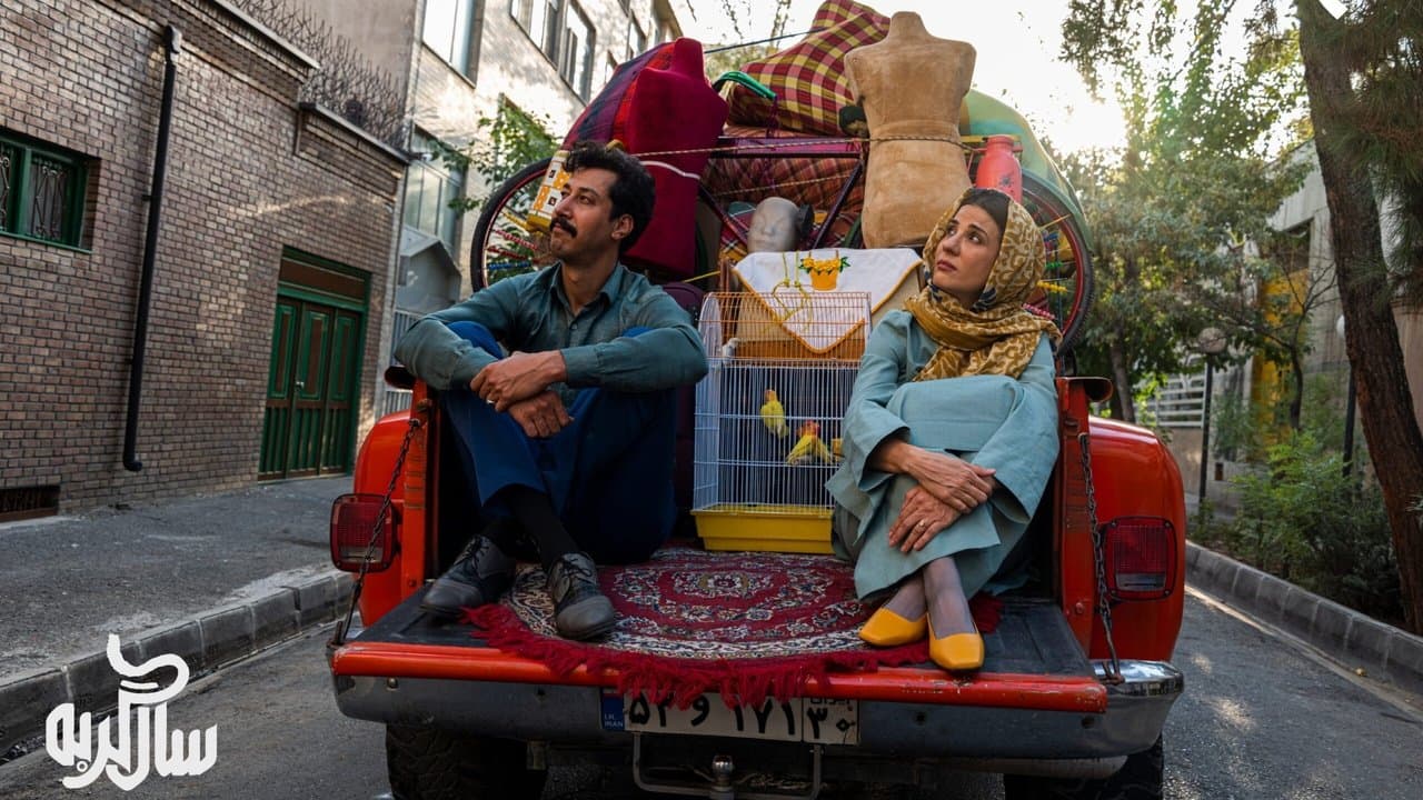 سال گربهの背景画像