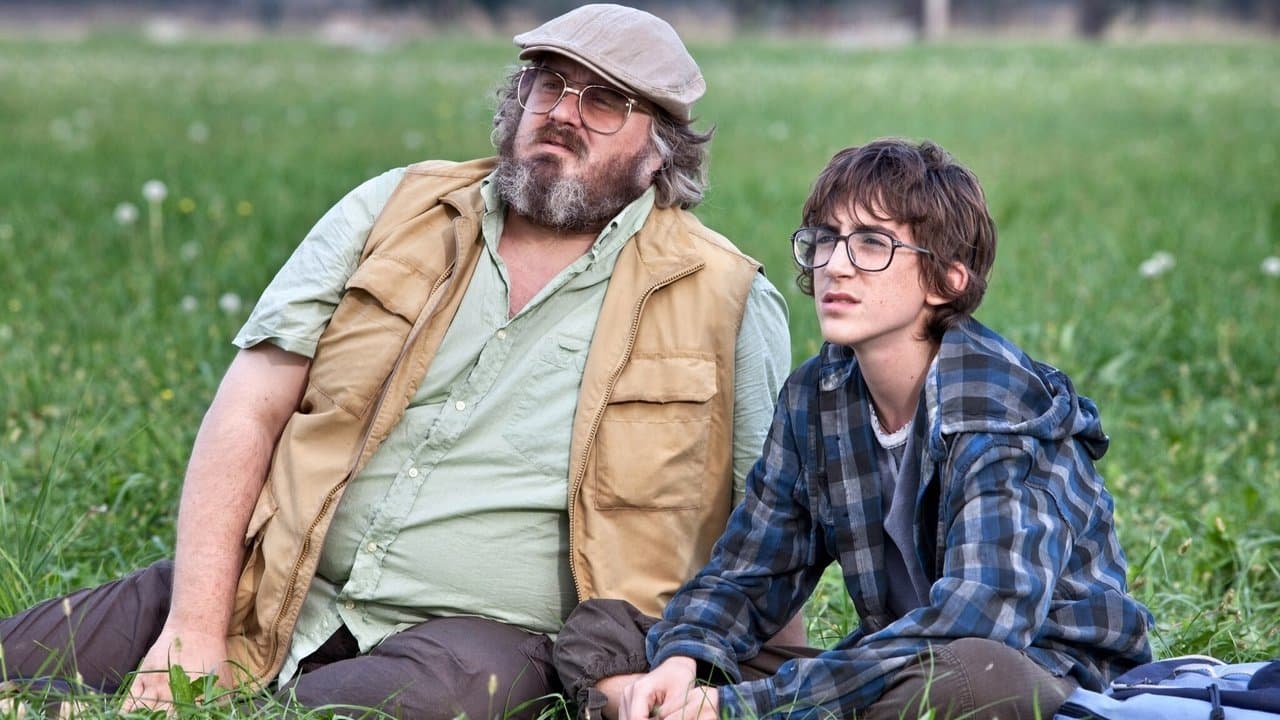 Il comandante e la cicognaの背景画像