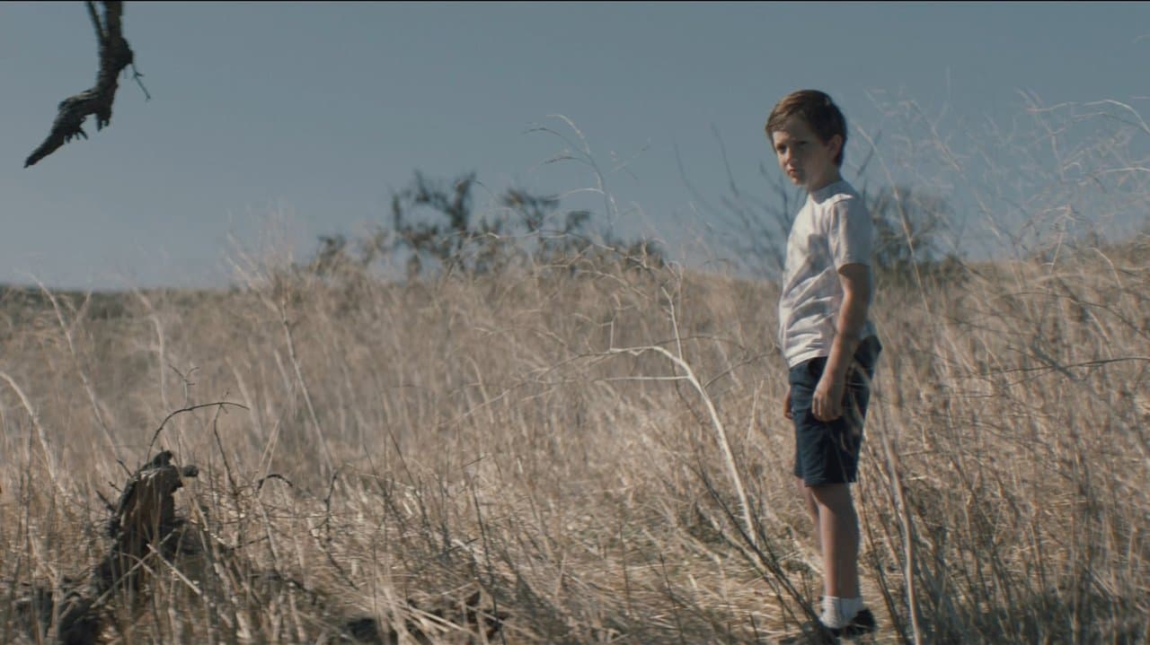 Safetyの背景画像