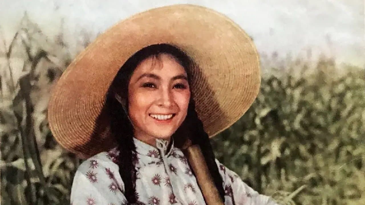 妈妈要我出嫁の背景画像