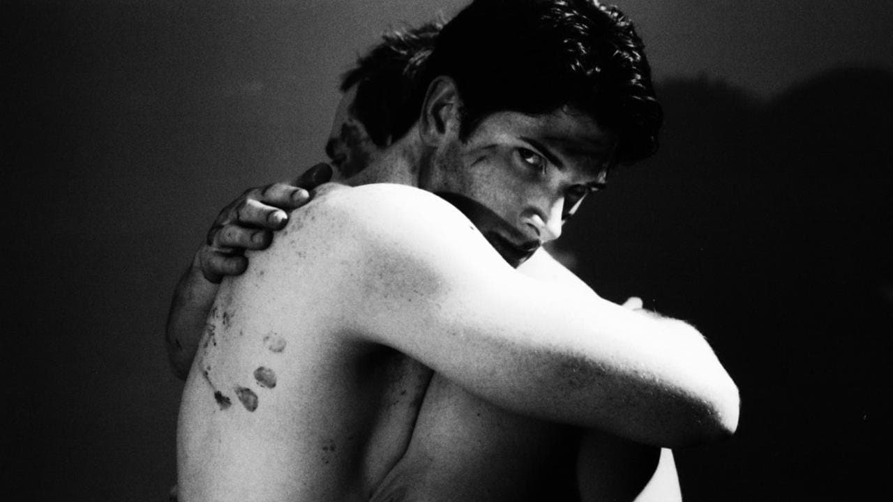 Shinerの背景画像