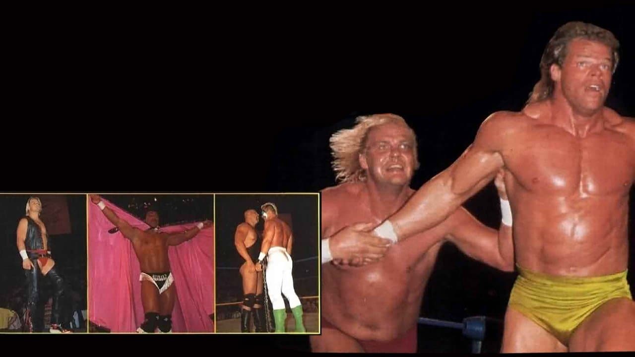 WCW The Great American Bash 1991の背景画像