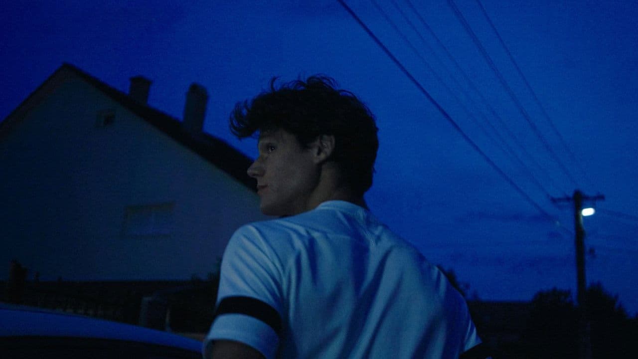 Octopusesの背景画像