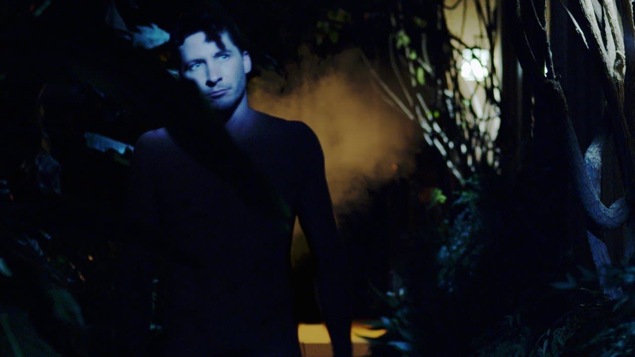 Hippopotamusの背景画像