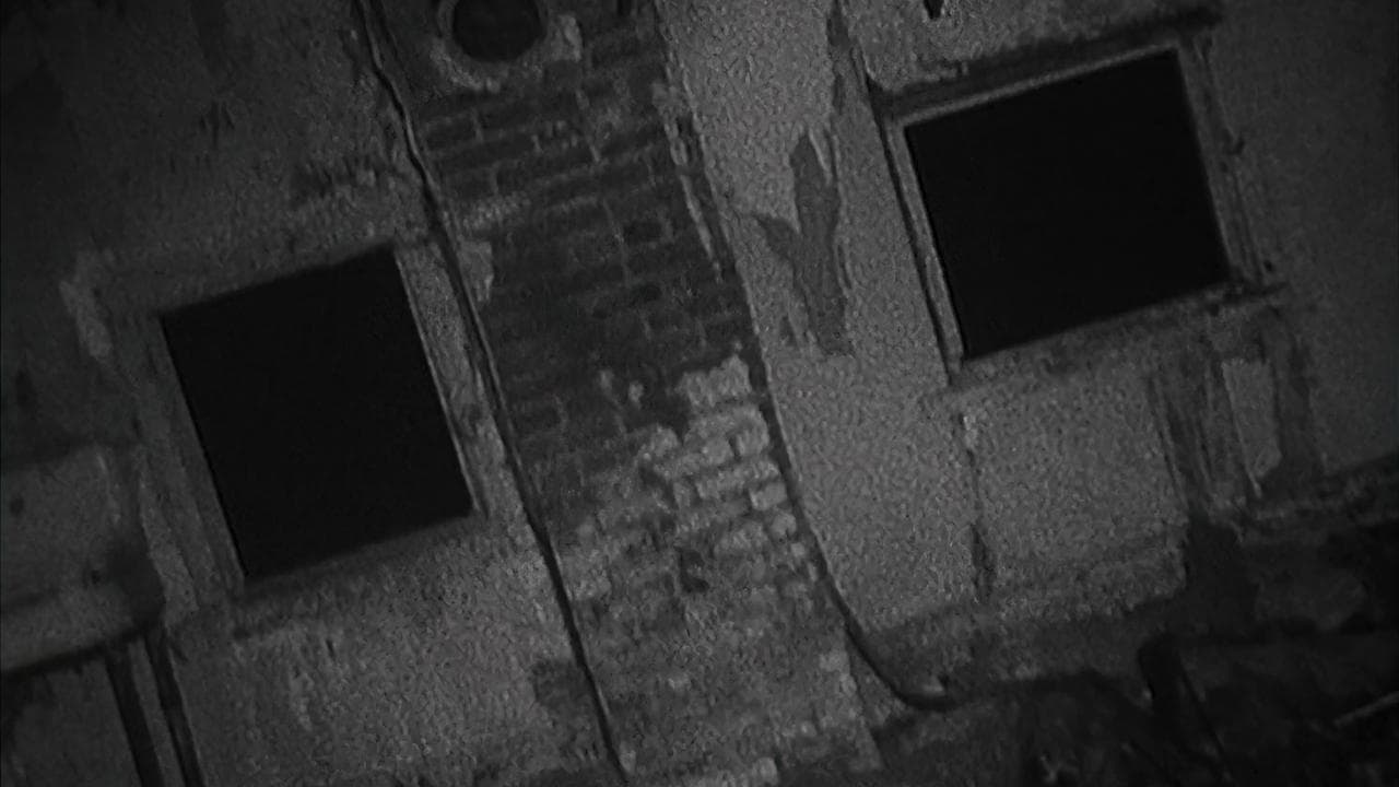 Shadow of the Blair Witchの背景画像