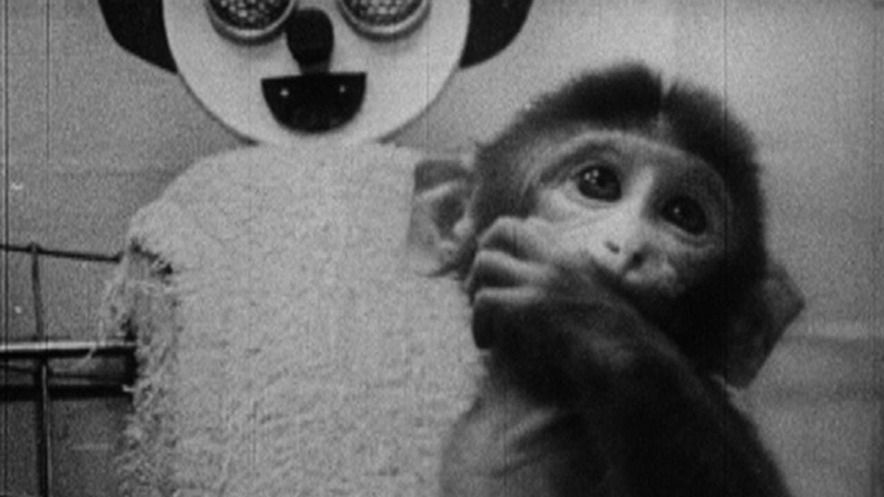 Star Spangled to Deathの背景画像