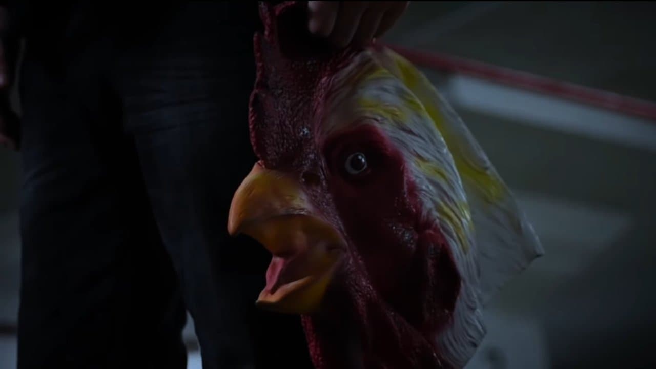 Midnight Animalの背景画像