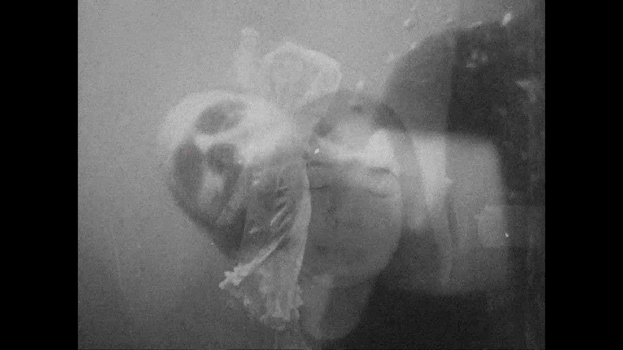 Tetralogía de las Alucinacionesの背景画像