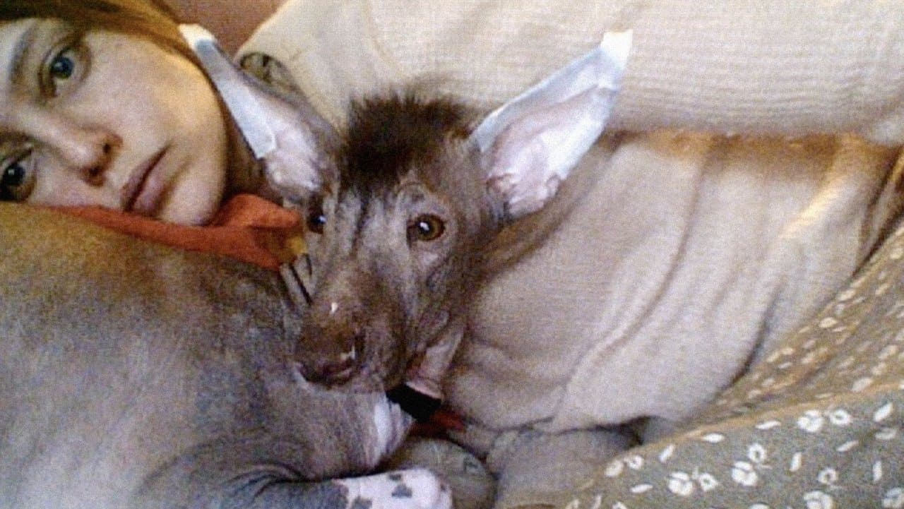 Я - Катя Голубеваの背景画像