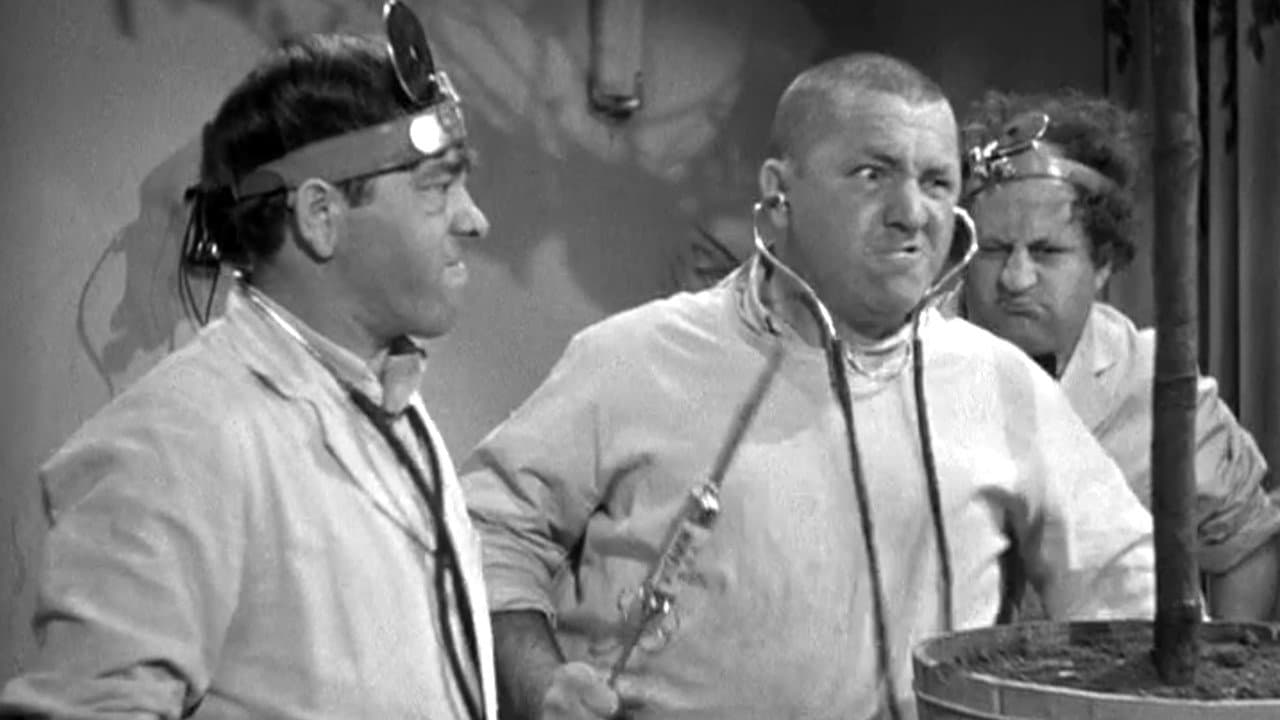 Some More of Samoaの背景画像