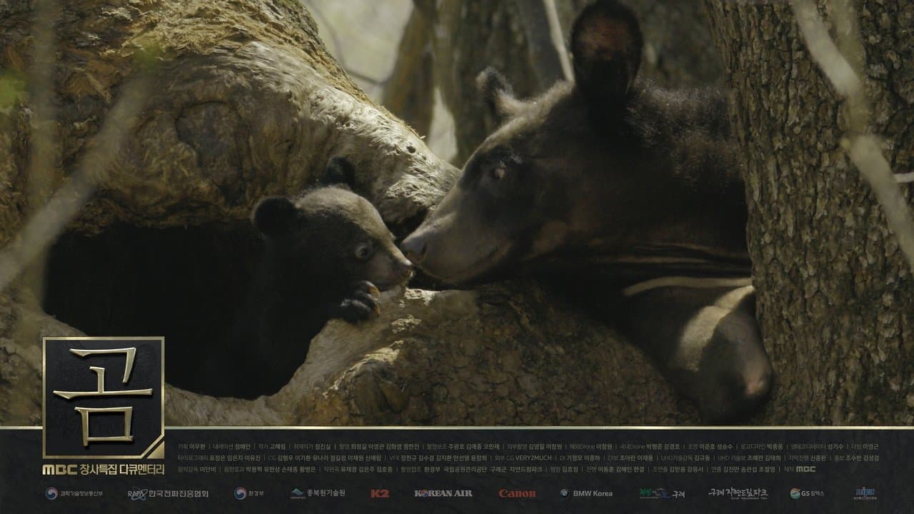 MBC 창사특집 다큐멘터리 곰の背景画像