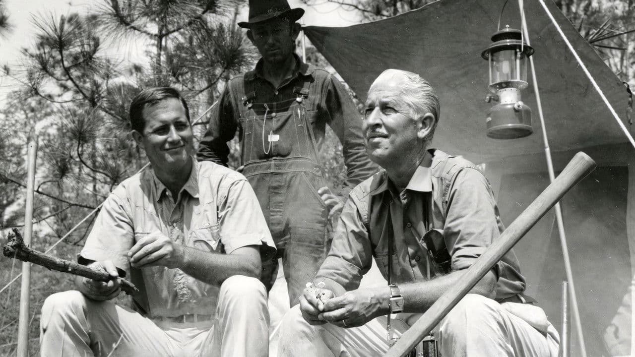 Mutual of Omaha's Wild Kingdomの背景画像