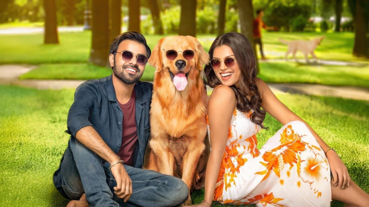 Cheesecakeの背景画像