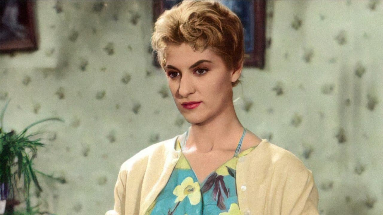 A Costureirinha da Séの背景画像