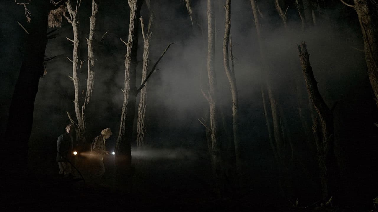 The Wetaの背景画像