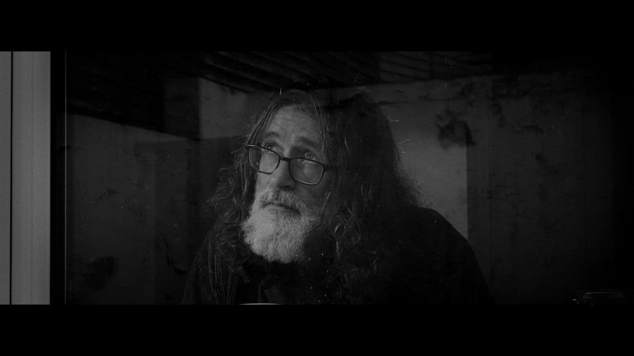 Fungiの背景画像