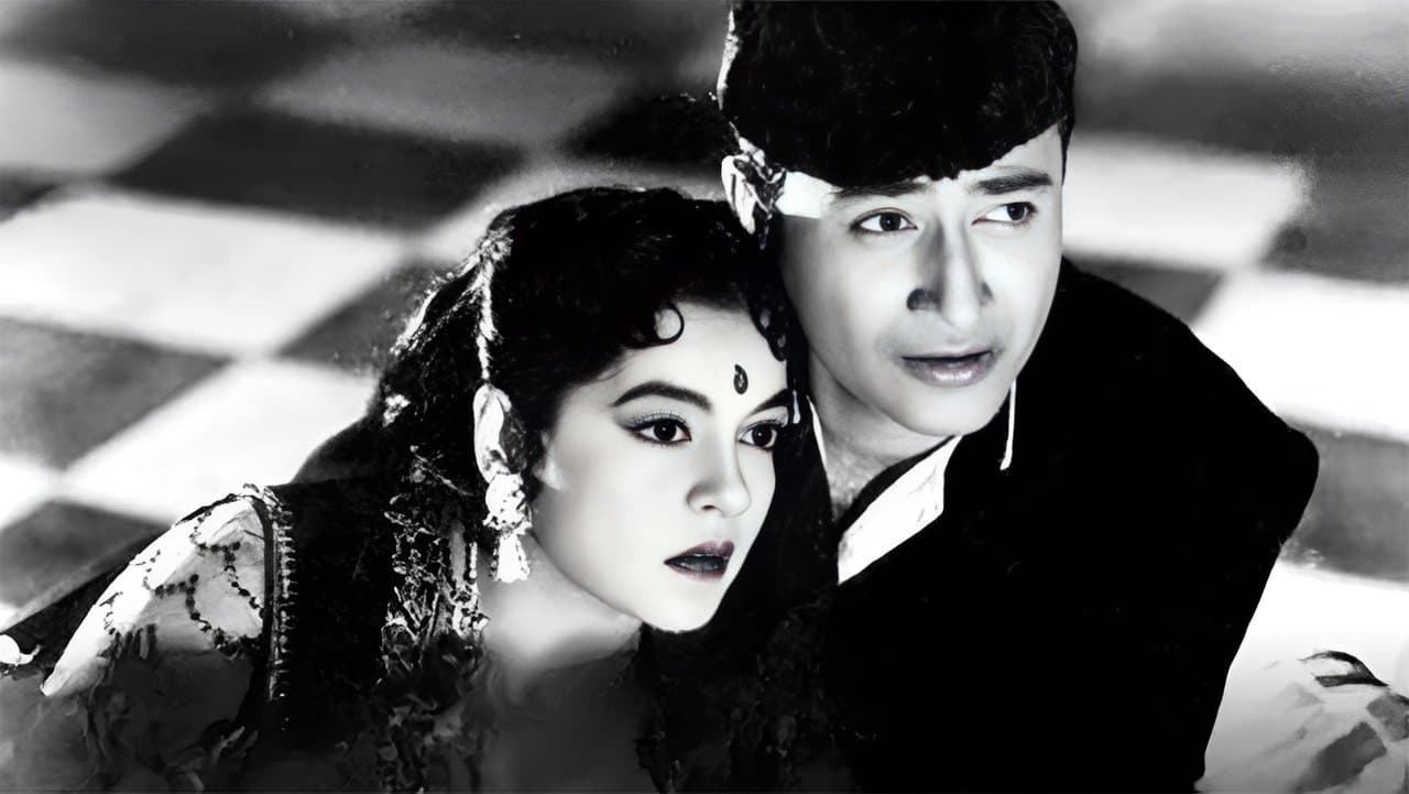 Ziddiの背景画像