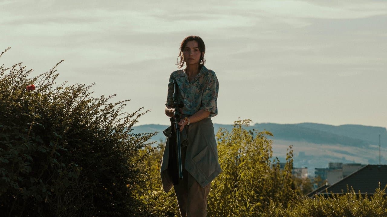 Tigruの背景画像