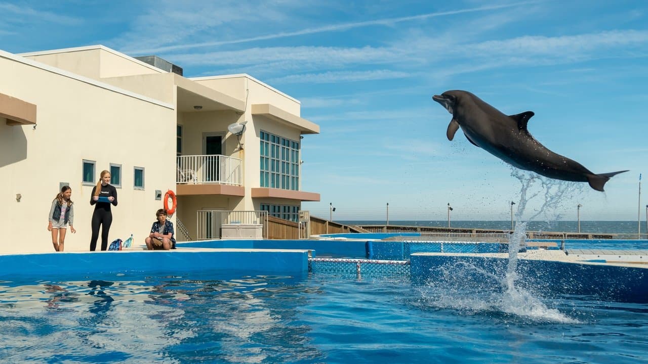 Bernie the Dolphinの背景画像