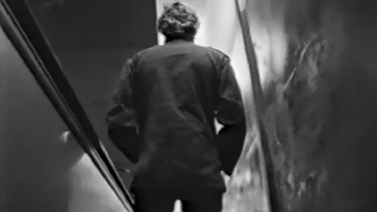 Vision for a New Worldの背景画像