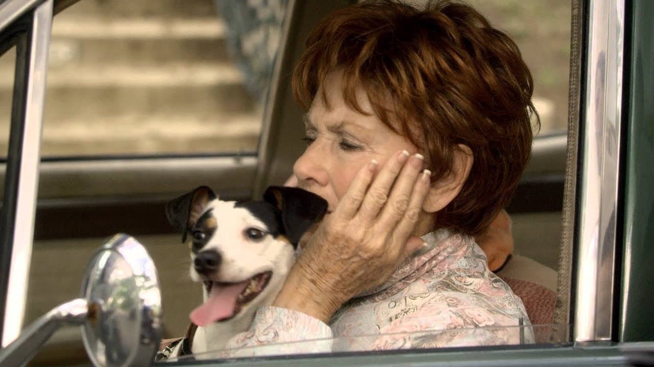 Heebie Jeebiesの背景画像